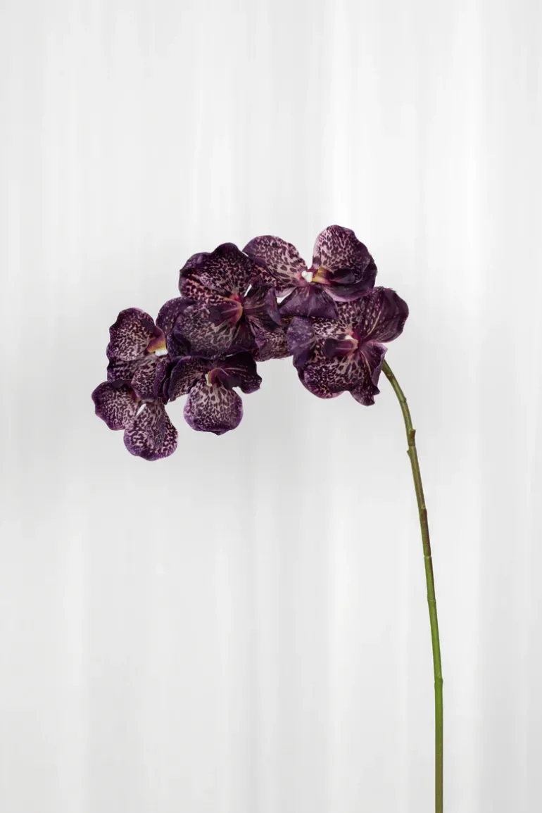 Artificial Flowers - Burgundy Orchid (7 heads)
