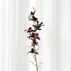 Artificial Flowers - Burgundy Dendrobium