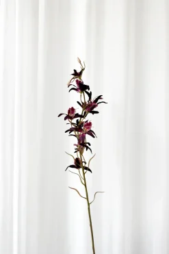 Artificial Flowers - Burgundy Dendrobium