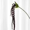 Artificial Flowers - Burgundy Amaranthus Branch