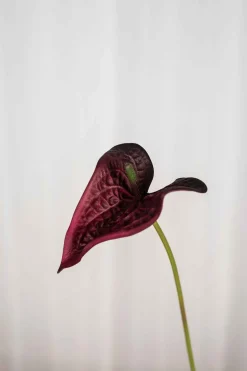 Artificial Flowers - Burgundy Anthurium small