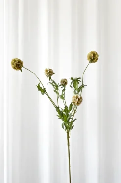 Artificial Flowers - Dusty yellow Scabiosa Seed Pod (multible heads)
