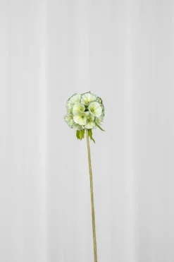 Artificial Flowers - Green Scabiosa Seed Pod flower