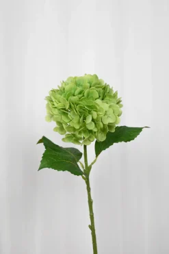 Artificial Flowers - Green Hydrangea