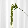 Artificial Flowers - Green Amaranthus Branch