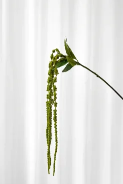 Artificial Flowers - Green Amaranthus Branch