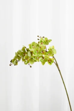 Artificial Flowers - Green Orchid (21 heads)