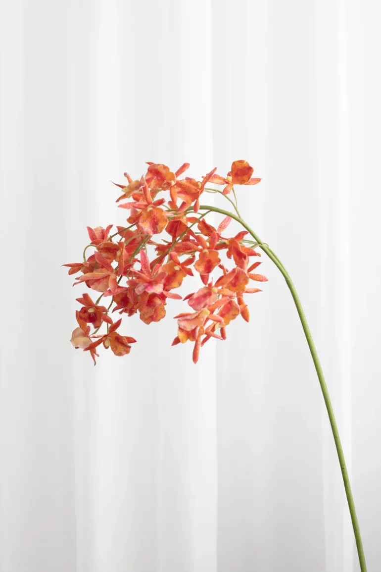 Artificial Flowers - Sunset Stem orchid