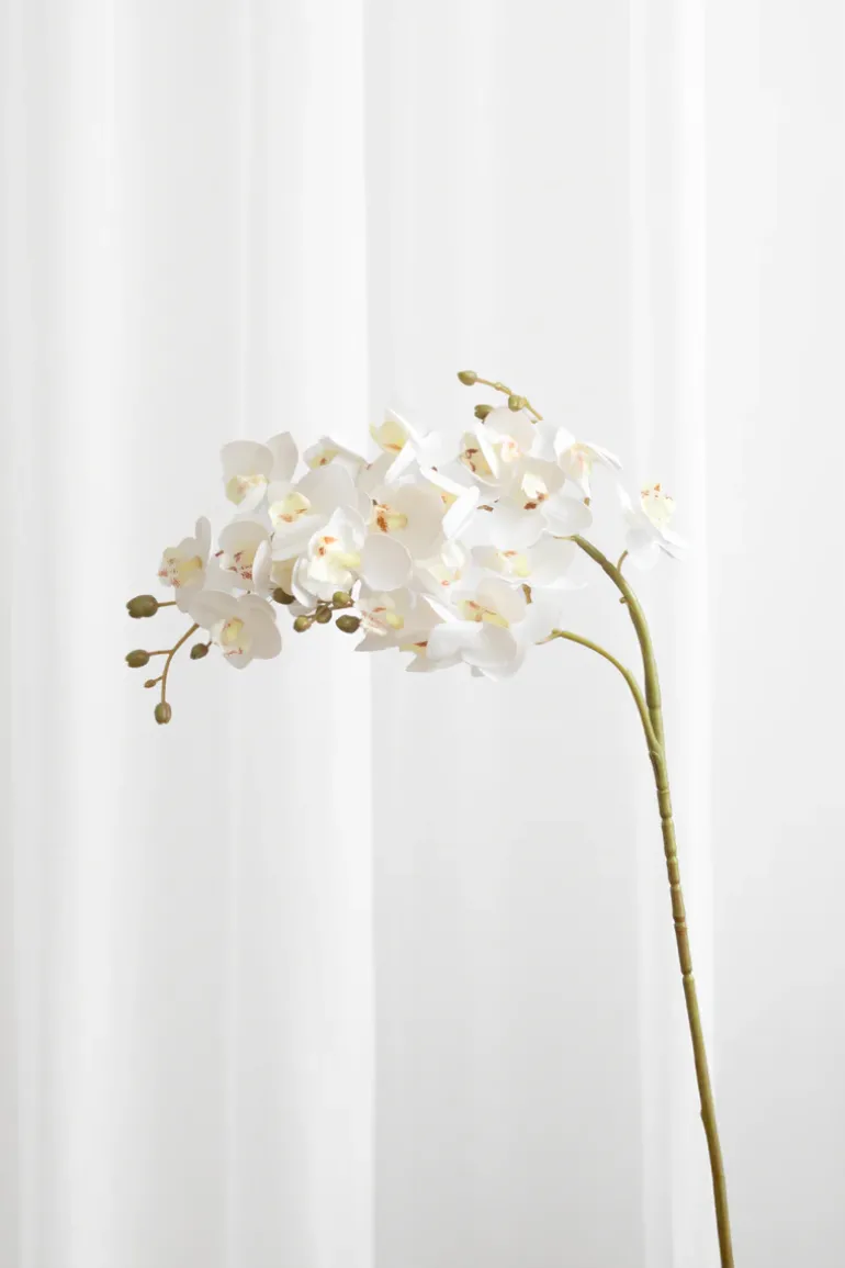 Artificial Flowers - White Orchid (21 heads)