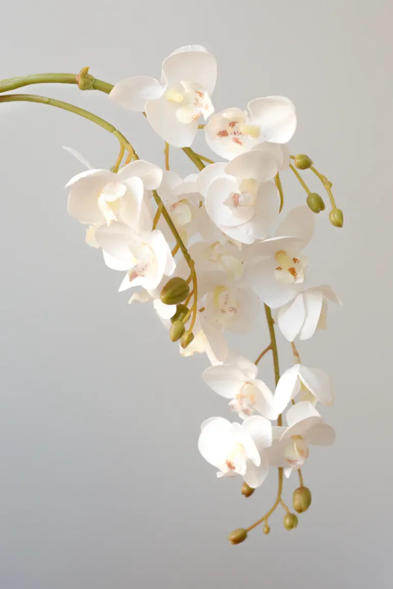 Artificial Flowers - White Orchid (21 heads)