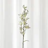 Artificial Flowers - White Dendrobium
