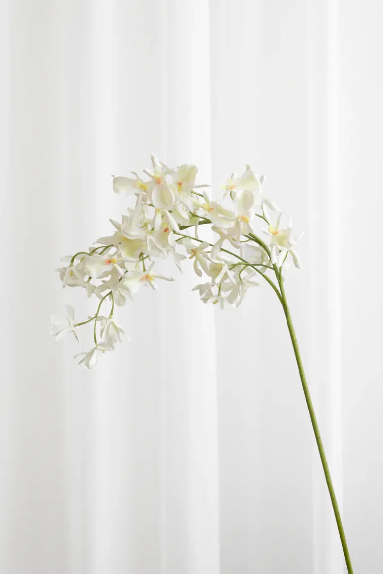 Artificial Flowers - White Stem orchid