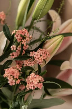 Evelyn Vase - Clear Small