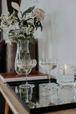 Meadow Stemware - Clear Cocktail glass