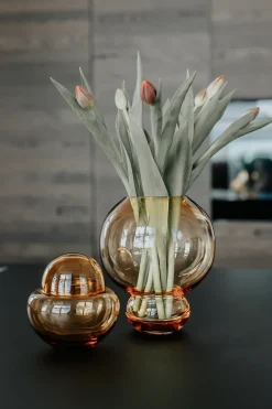 Vincent Bonbonniere - Amber